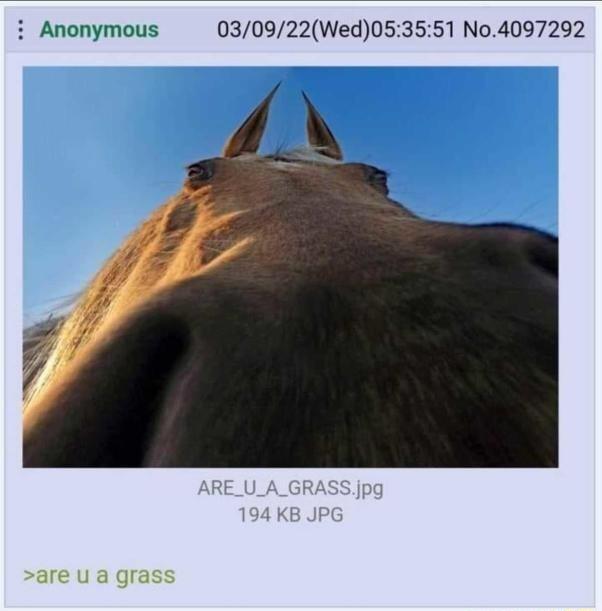 i Anonymous 030922Wed053551 N04097292 are U a grass