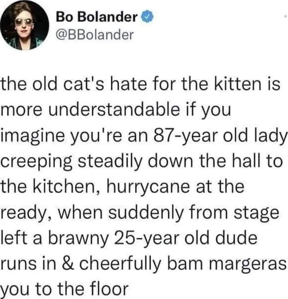 Bo Bolander BBolander the old cats hate for the kitten is more understandable if you imagine youre an 87 year old lady creeping steadily down the hall to the kitchen hurrycane at the ready when suddenly from stage left a brawny 25 year old dude runs in cheerfully bam margeras you to the floor