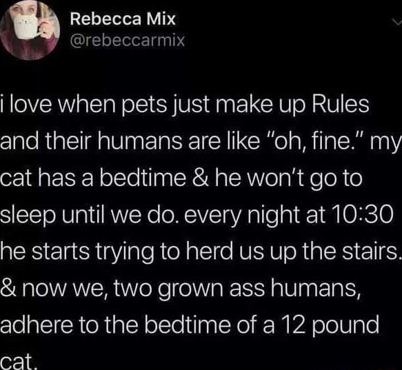 Rebecca Mix GIEEET T i love when pets just make up Rules and their humans are like oh fine my cat has a bedtime he wont go to sleep until we do every night at 1030 he starts trying to herd us up the stairs now we two grown ass humans adhere to the bedtime of a 12 pound cat