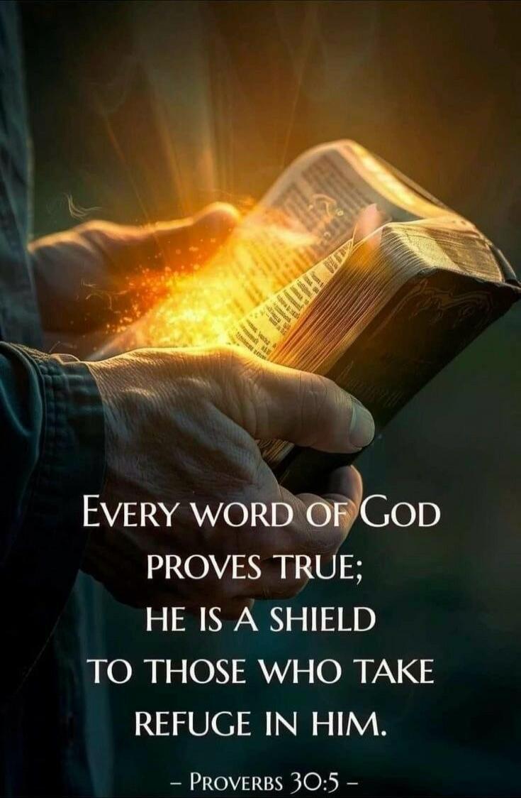EVERY WORD OF GOD PROVES TRUE; HE IS A SHIELD TO THOSE WHO TAKE REFUGE IN HIM. - PROVERBS 30:5 -
