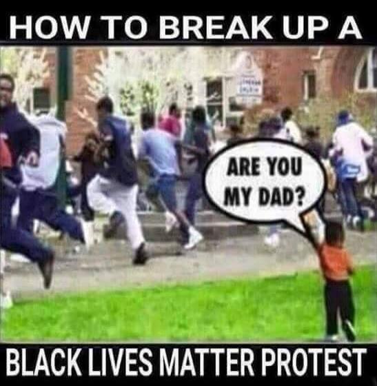HOW TO BREAK UP A BLACK LIVES MATTER PROTEST ARE YOU MY DAD?