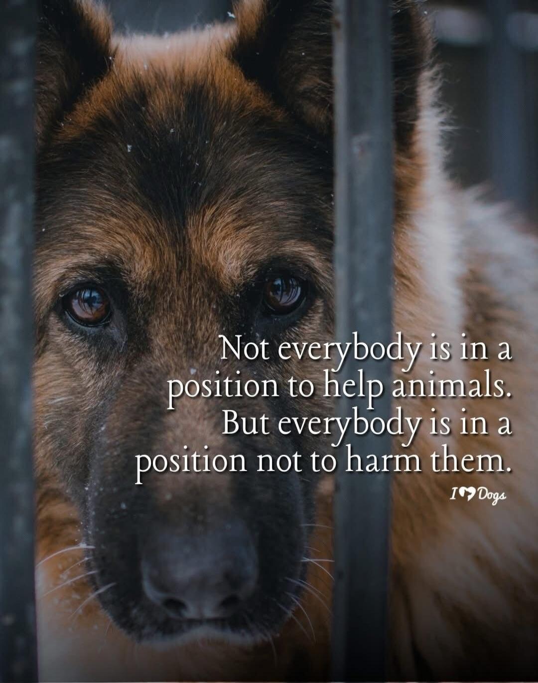 Not everybody is in a position to help animals. But everybody is in a position not to harm them. I❤️Dogs