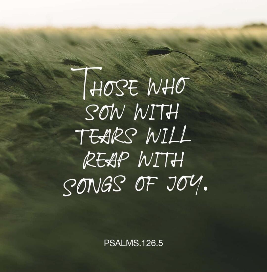 THOSE WHO SOW WITH TEARS WILL REAP WITH SONGS OF JOY. PSALMS.126.5