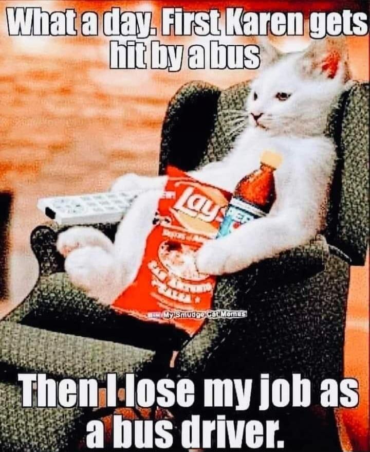 What a day. First Karen gets hit by a bus. Then I lose my job as a bus driver.