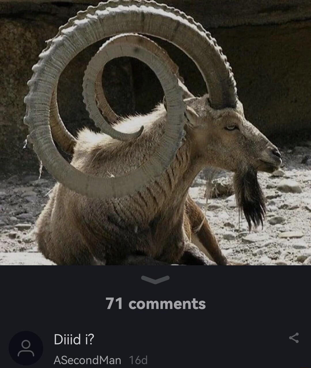 71 comments Diiid i ASecondMan 16