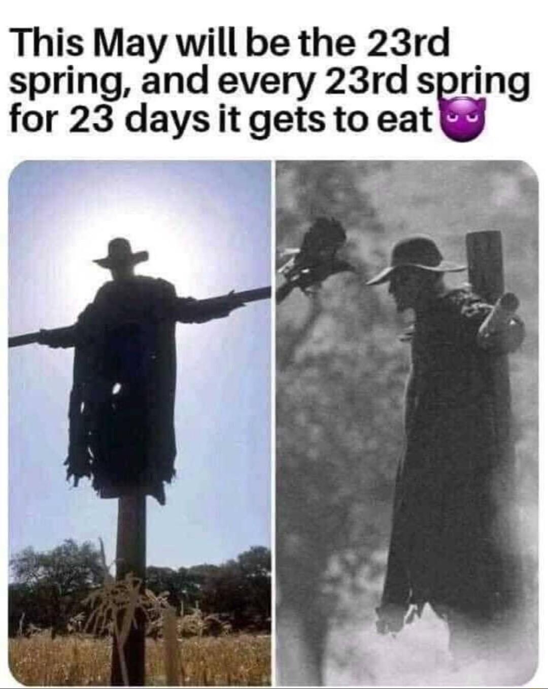 This May will be the 23rd spring and every 23rd spring for 23 daysit gets to eat i