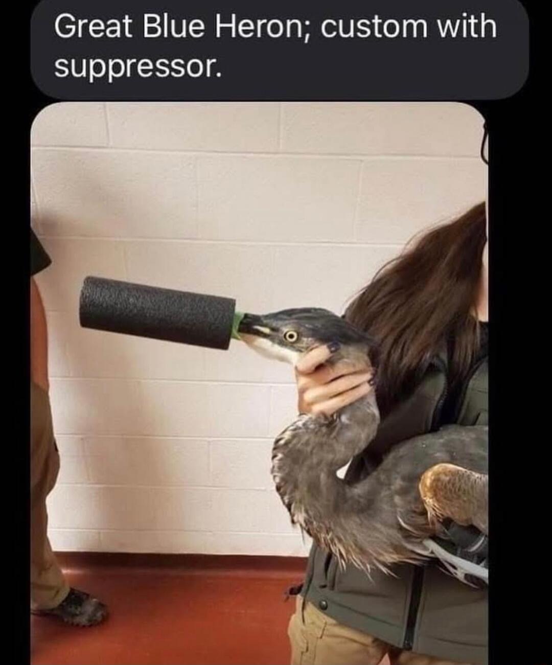 Great Blue Heron; custom with suppressor.