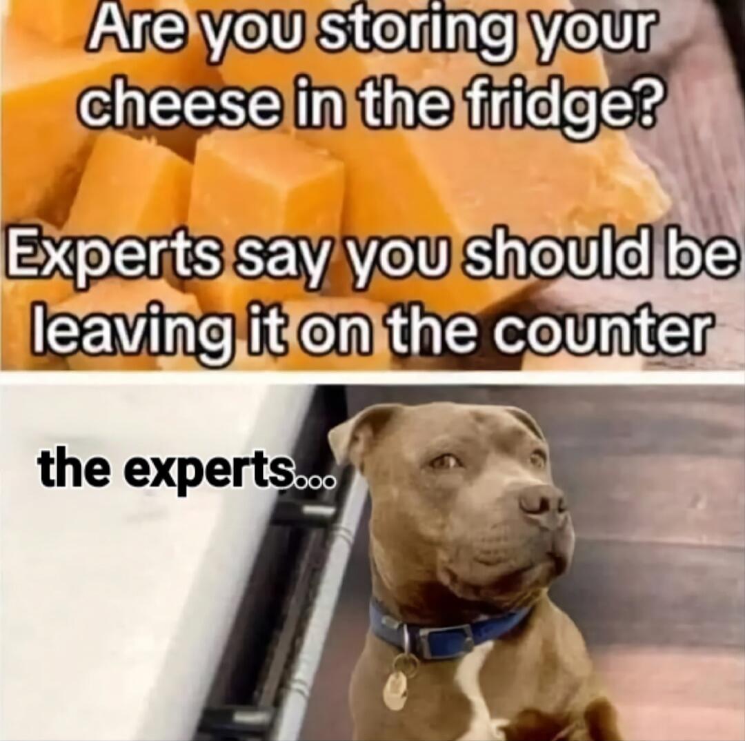 Are you storing your cheese in the fridge? Experts say you should be leaving it on the counter. the experts...