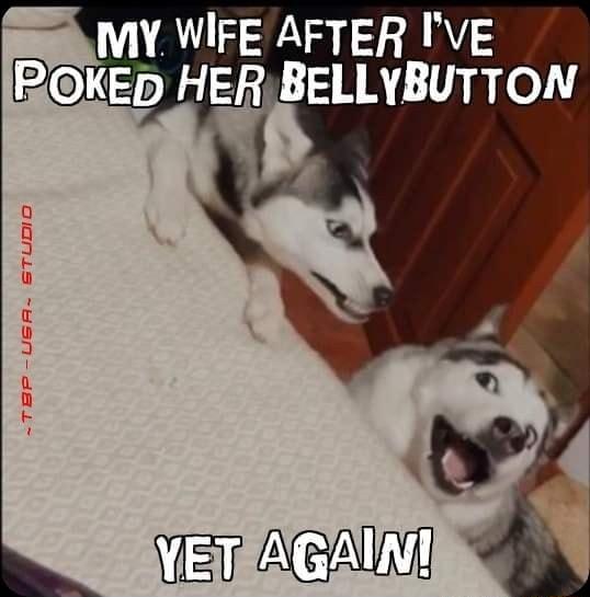 AL 3 A S PeL HER BEILVBUTTON N TEP USA STUDID