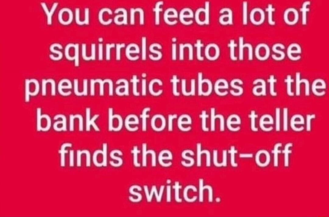 You can feed a lot of squirrels into those pneumatic tubes at the bank before the teller finds the shut-off switch.