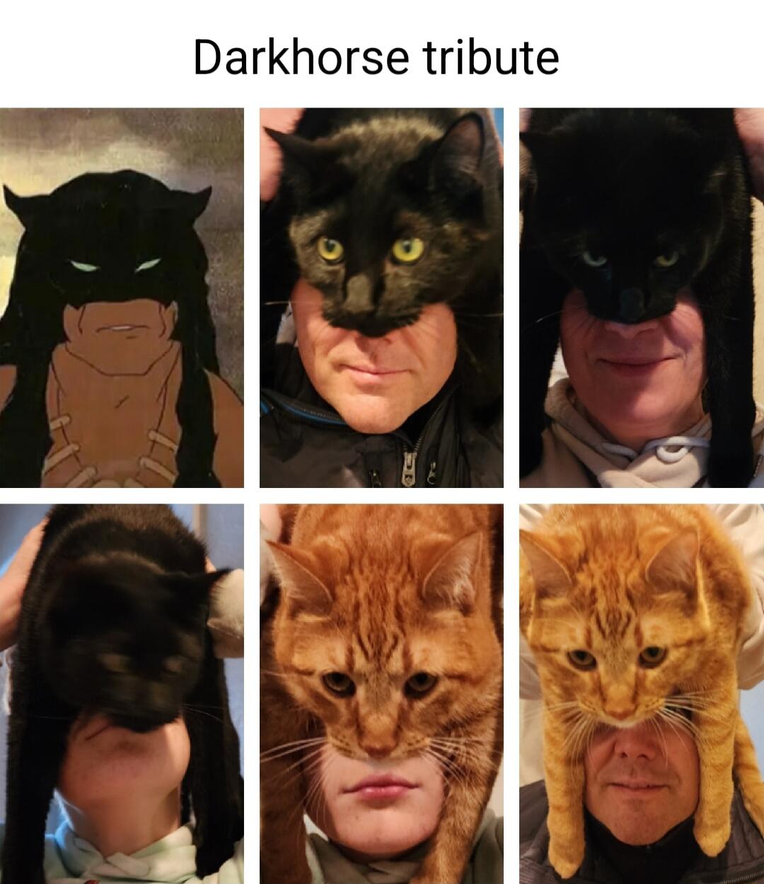 Darkhorse tribute