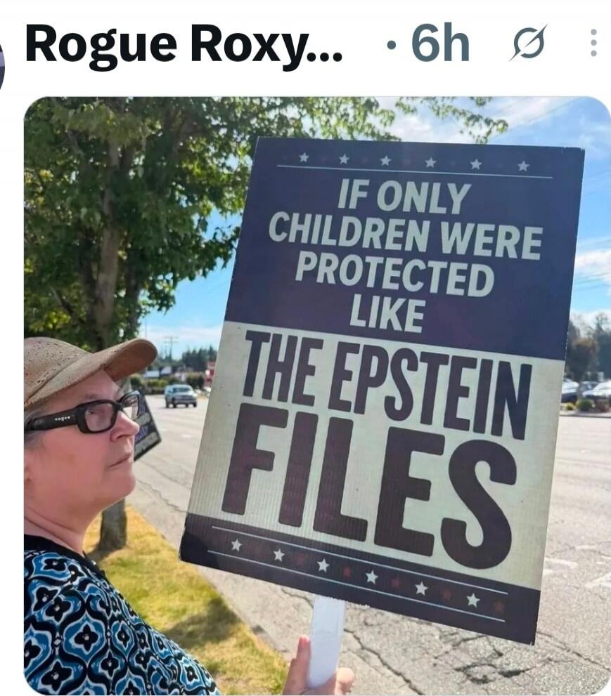 Rogue Roxy... 6h IF ONLY CHILDREN WERE PROTECTED LIKE THE EPSTEIN FILES
