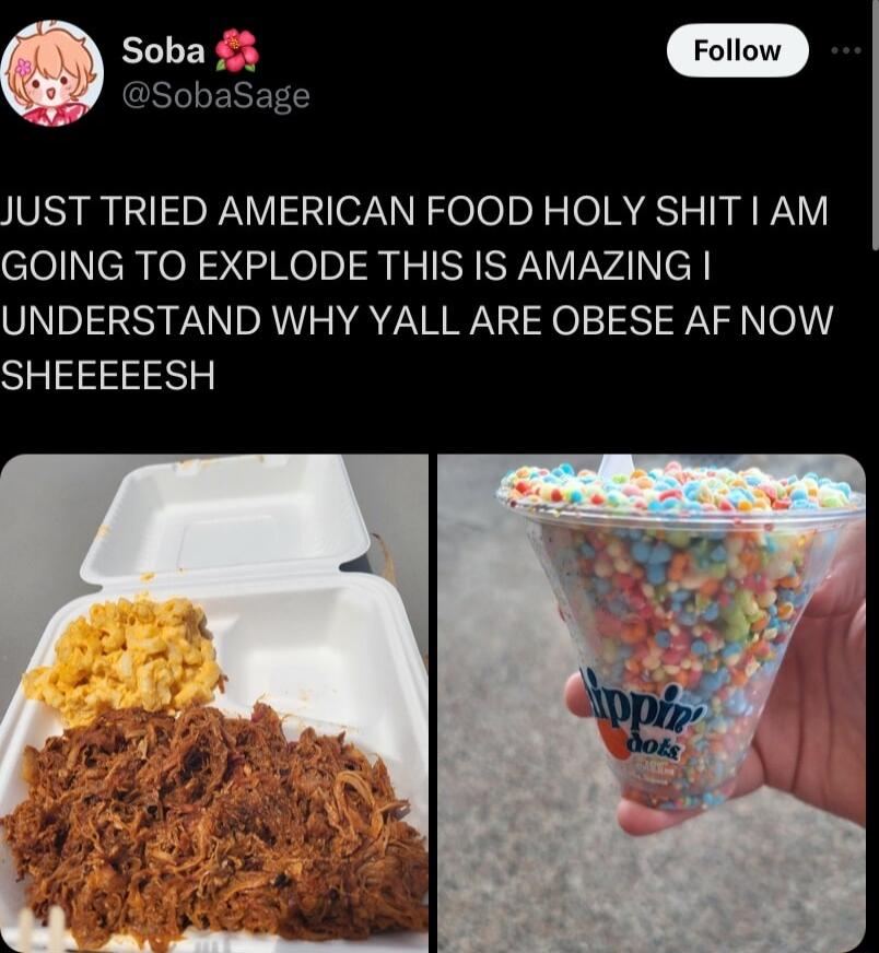 Follow JUST TRIED AMERICAN FOOD HOLY SHIT AM clollch o Kolp LS ISPV VvAINef UNDERSTAND WHY YALL ARE OBESE AF NOW SHEEEEESH