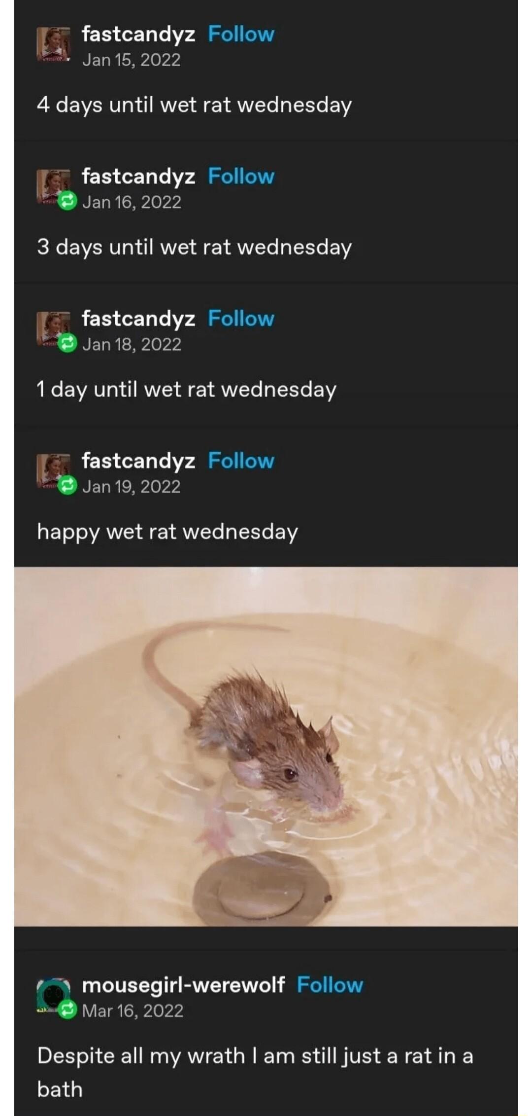 fastcandyz Follow Jan15 2022 4 days until wet rat wednesday fastcandyz Follow Jan16 2022 3 days until wet rat wednesday fastcandyz Follow Jan 18 2022 1day until wet rat wednesday fastcandyz Follow Jan19 2022 LETTOAVCI S AW N E mousegirl werewolf Follow 4 Mar 16 2022 LN CE R AV E R ET I AN VE SN E ALY bath