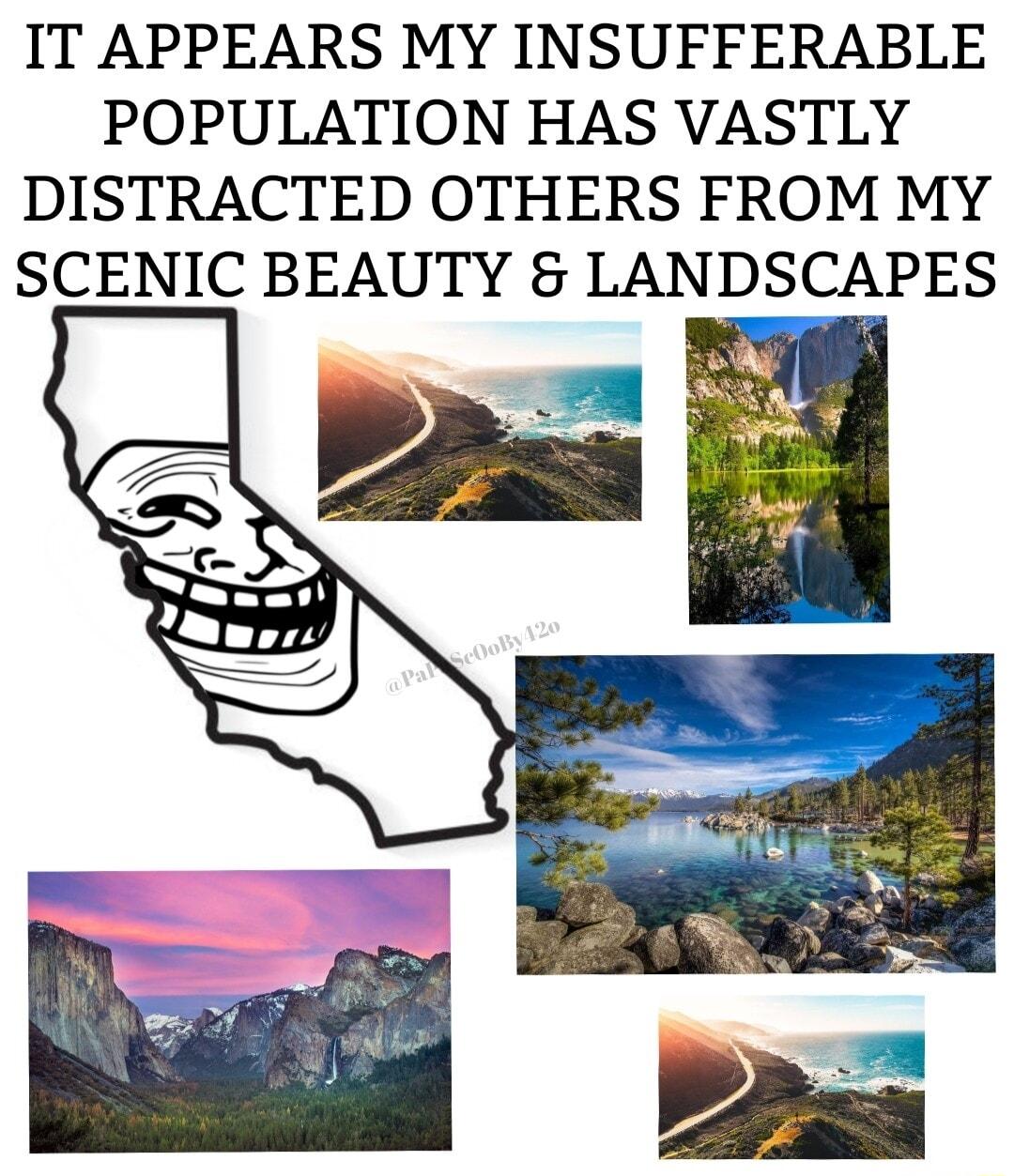 IT APPEARS MY INSUFFERABLE POPULATION HAS VASTLY DISTRACTED OTHERS FROM MY SCENIC BEAUTY LANDSCAPES