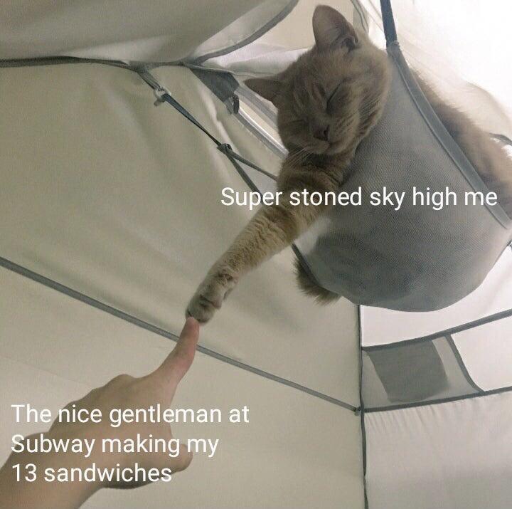 NGO Super stoned sky hig 13 sandwich