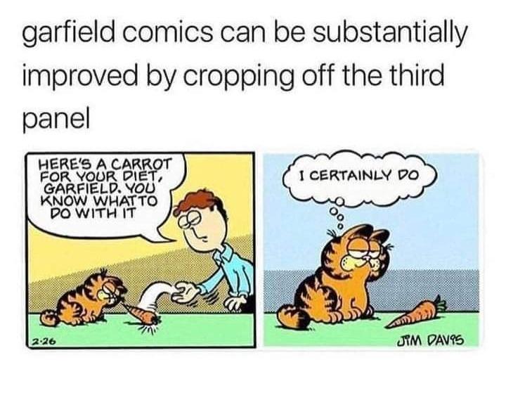 garfield comics can be substantially improved by cropping off the third panel KNOW WHATTO POWITH IT
