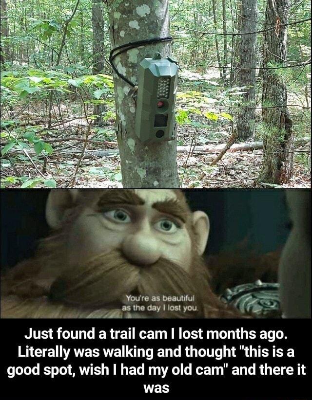 s the day lost you Youe as beautiful h l o Just found a trail cam lost months ago Literally was walking and thought this is a good spot wish had my old cam and there it was