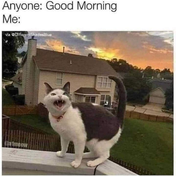 Anyone Good Morning Me