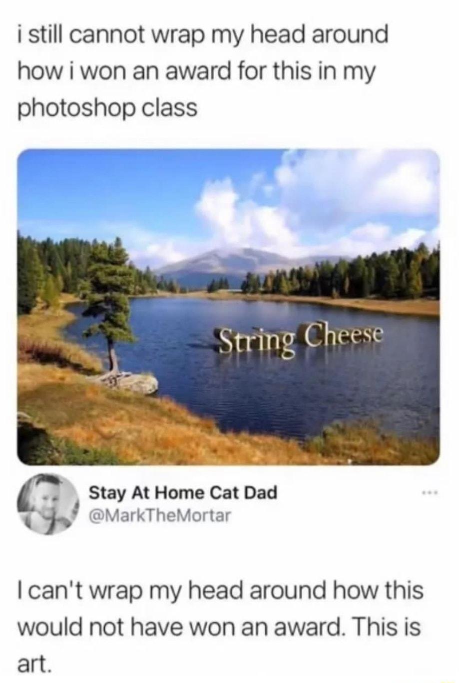 i still cannot wrap my head around how i won an award for this in my photoshop class Stay At Home Cat Dad i MarkTheMortar cant wrap my head around how this would not have won an award This is art