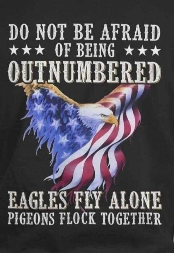 DO NOT BE AFRAID OF BEING OUTNUMBERED EAGLES FLY ALONE PIGEONS FLOCK TOGETHER