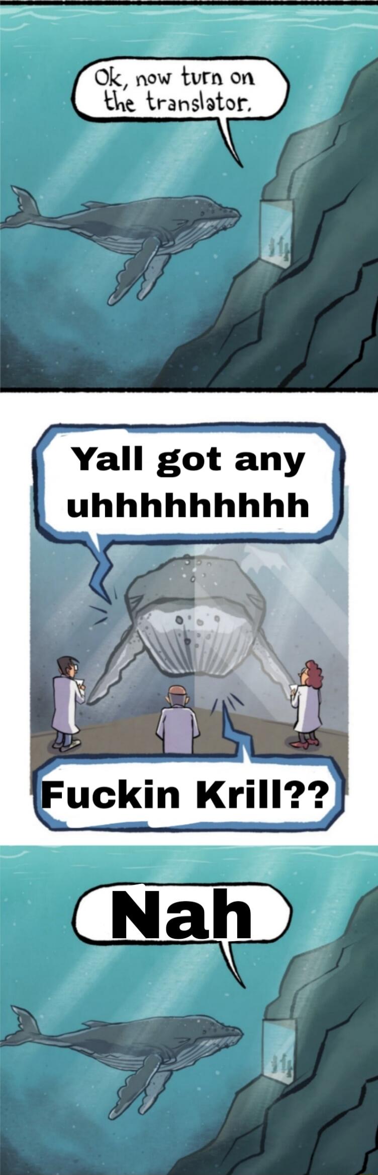 Ok, now turn on the translator. Yall got any uhhhhhhhh Fuckin Krill?? Nah