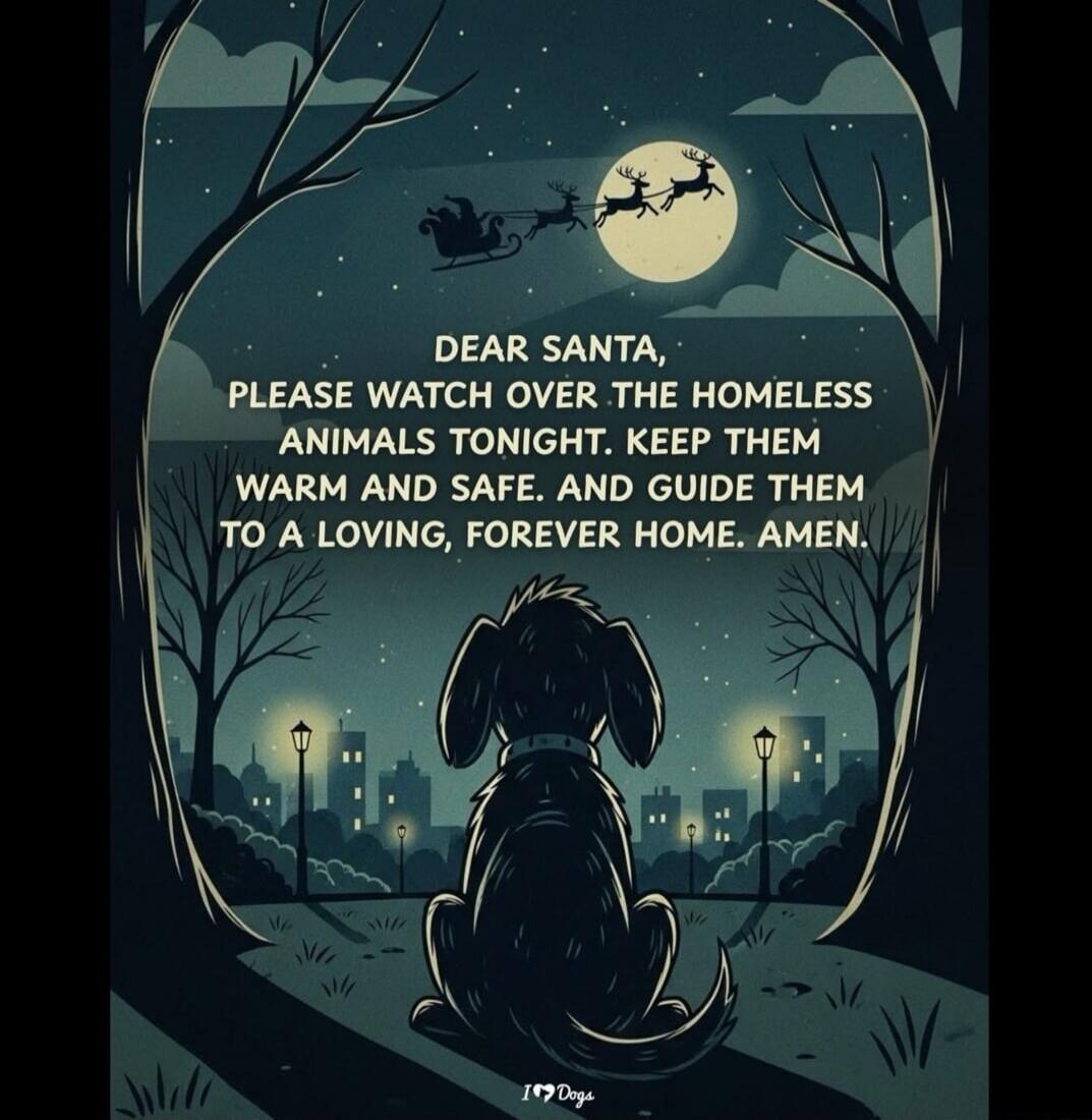 DEAR SANTA, PLEASE WATCH OVER THE HOMELESS ANIMALS TONIGHT. KEEP THEM WARM AND SAFE. AND GUIDE THEM TO A LOVING, FOREVER HOME. AMEN.
(I ♥ Dogs)
