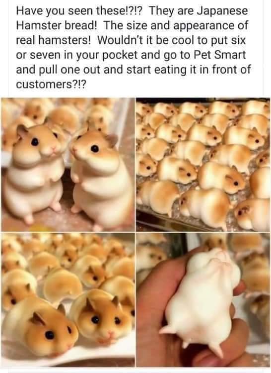 Have you seen these They are Japanese Hamster bread The size and appearance of real hamsters Wouldnt it be cool to put six or seven in your pocket and go to Pet Smart and pull one out and start eating it in front of customers