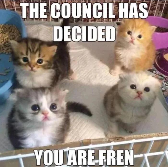 THECOUNCILHAS SneCIDeD YOUA AREFBEN