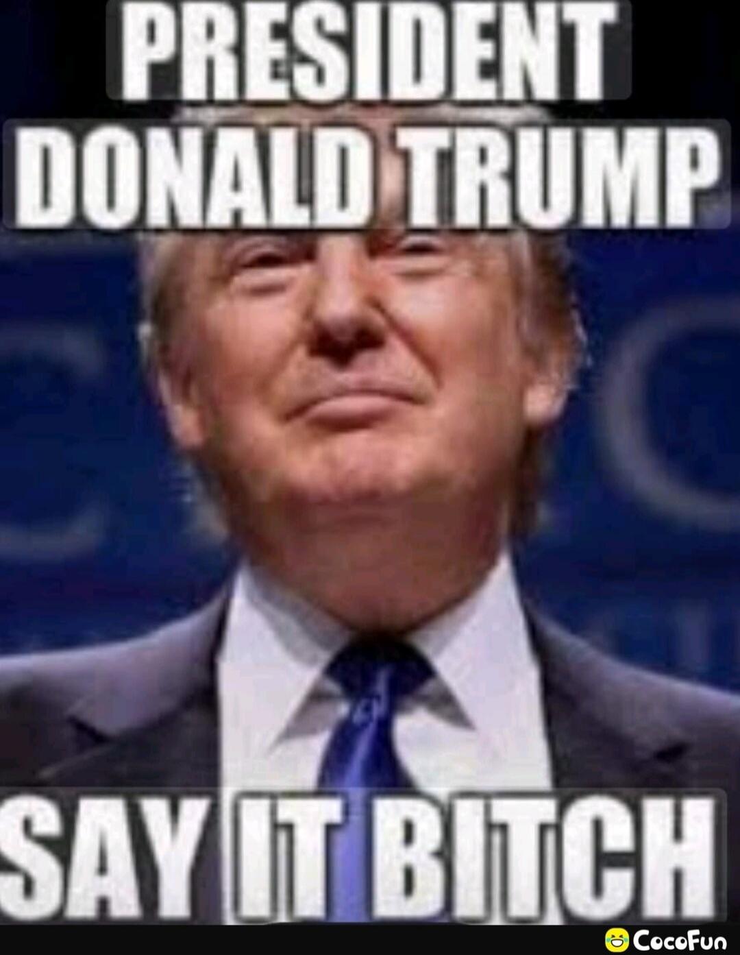PRESIDENT DONALD TRUMP SAY IT BITCH