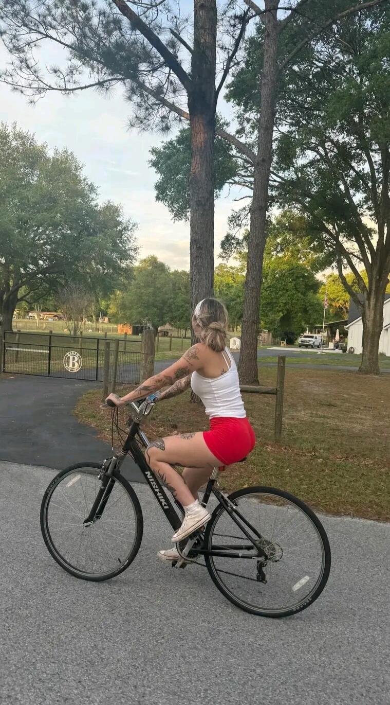 NISHIKI B