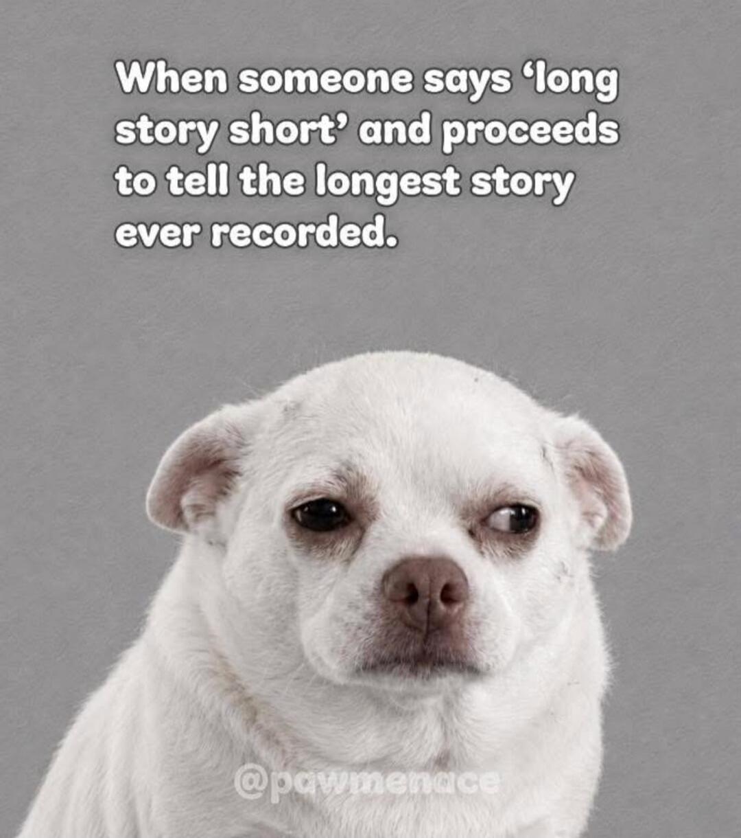 When someone says 'long story short' and proceeds to tell the longest story ever recorded. @pawmenace