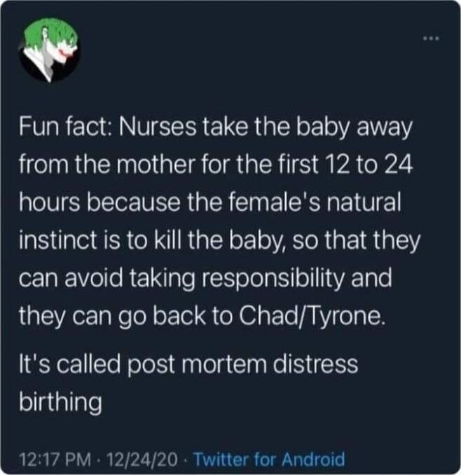 Fun fact Nurses take the baby away from the mother for the first 12 to 24 hours because the females natural instinct is to kill the baby so that they can avoid taking responsibility and they can go back to ChadTyrone Its called post mortem distress ol allale 1217 PM 122420 Twitter for Android