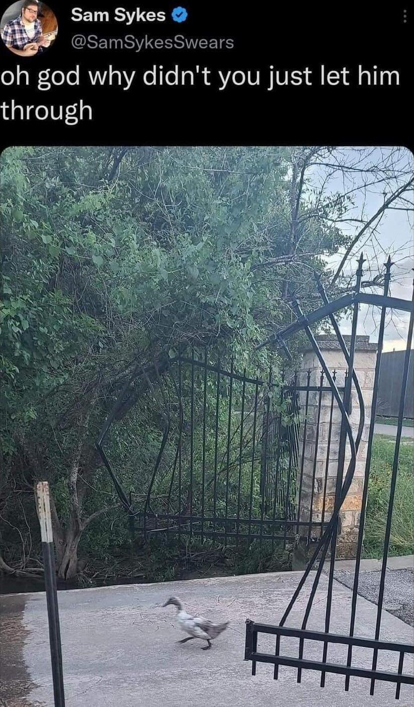 Sam S CH ACSEINSEESEETS o1 WeTe WY sYAele aR Y IV VIS A 1 aT10 through