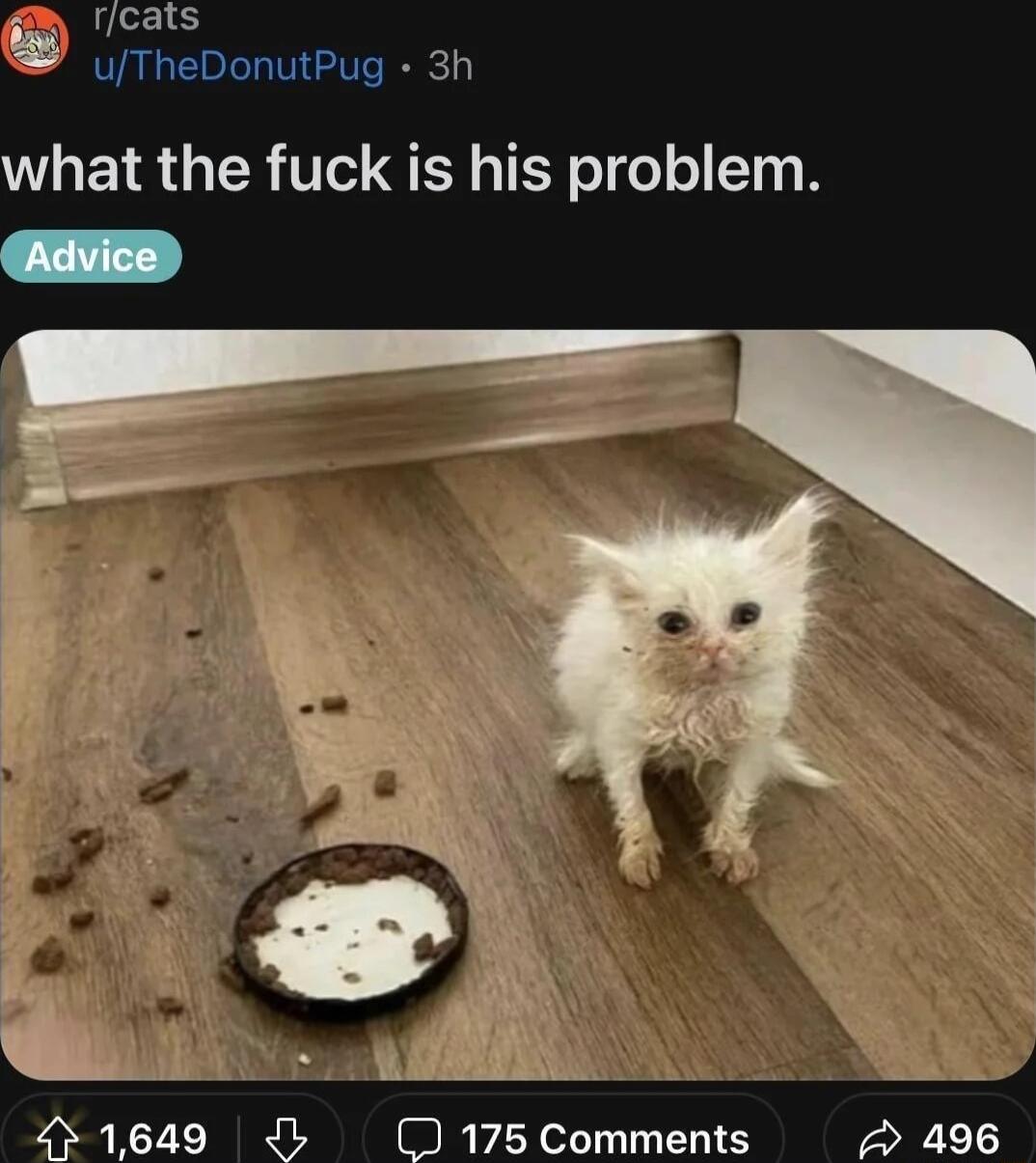 uTheDonutF what the fuck is his problem 431649 Jb 175 Comi