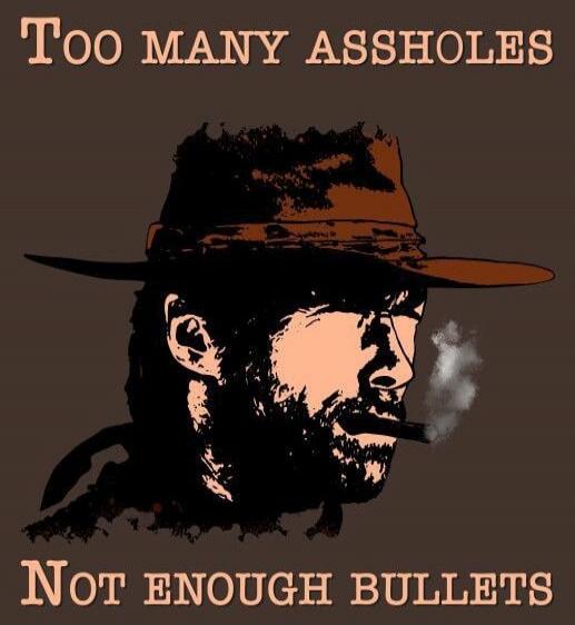 Too many assholes
Not enough bullets