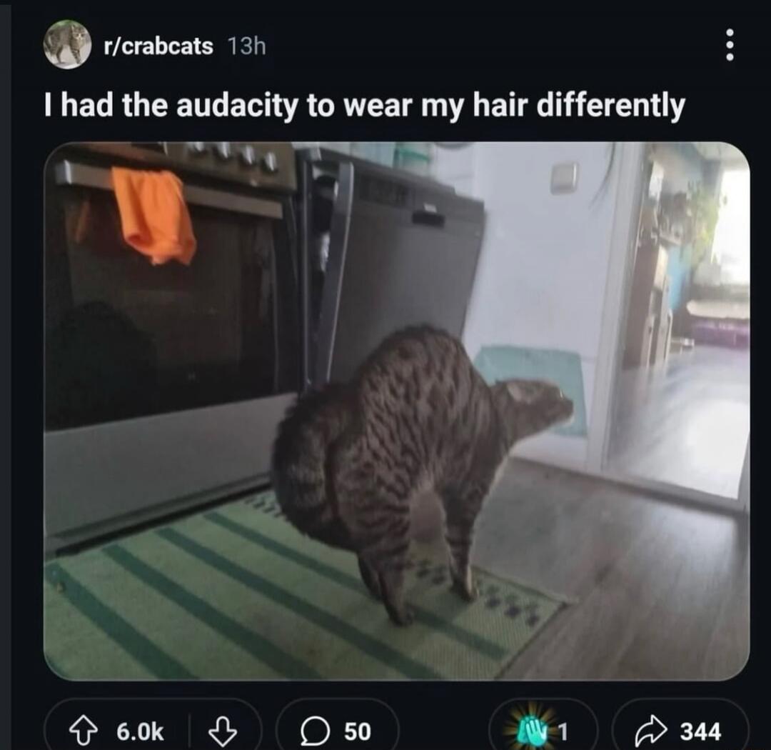 I had the audacity to wear my hair differently