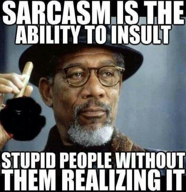 SARCASM IS THE ABILITY TO INSULT STUPID PEOPLE WITHOUT THEM REALIZING IT