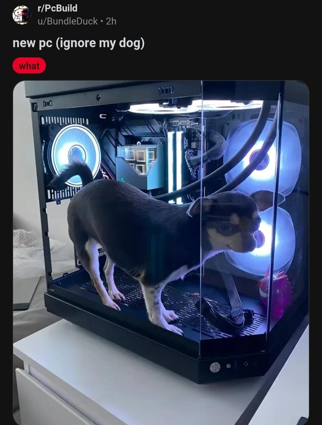 oo wBundleDuck 2h new pc ignore my dog A e _ i T r L NM