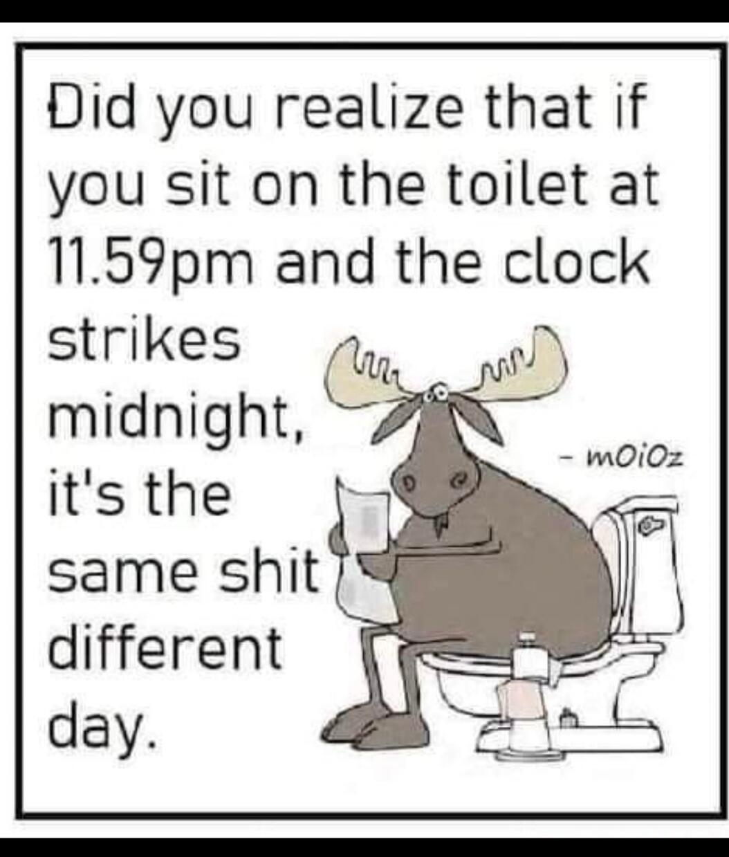 Did you realize that if you sit on the toilet at 11.59pm and the clock strikes midnight, it's the same shit different day.