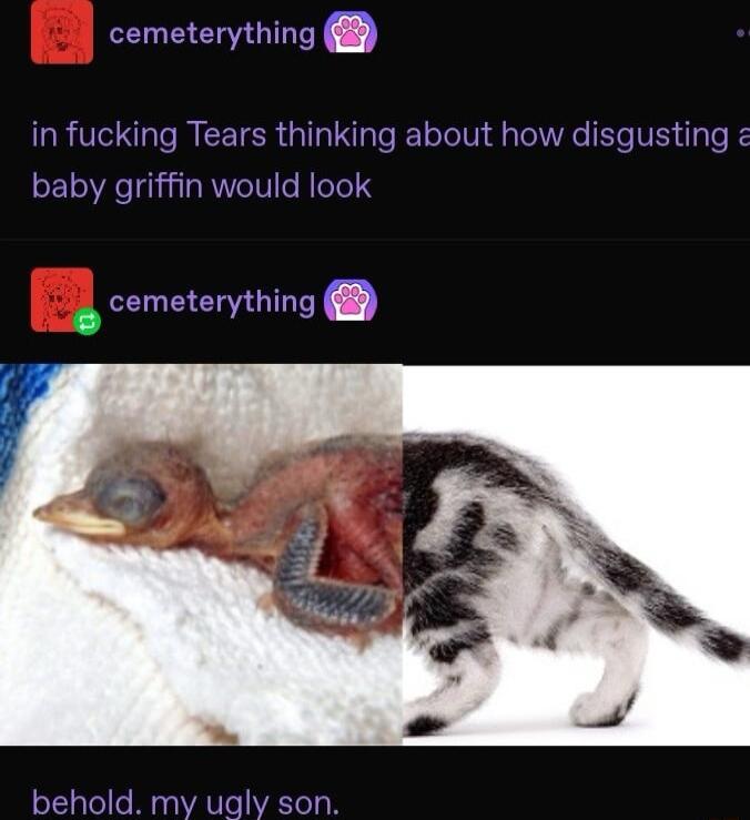 cemeterything rs thinking about how disgustir