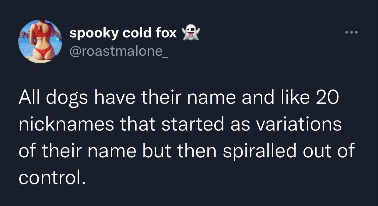 spooky cold fox roastmalone_ All dogs have their name and like 20 nicknames that started as variations of their name but then spiralled out of olelplugeR