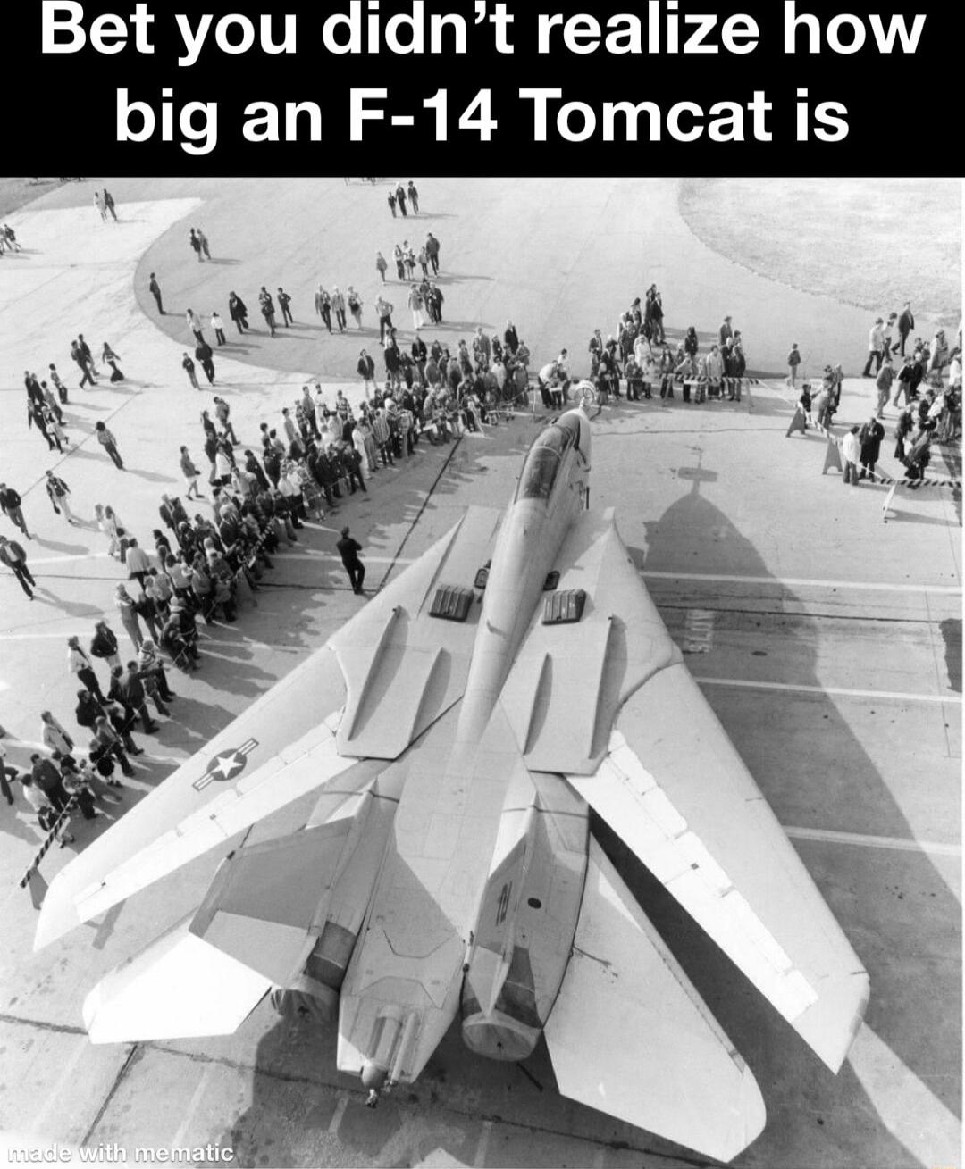 Bet you didnt realize how big an F 14 Tomcat is