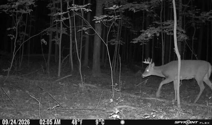 09/24/2026 02:05 AM 48°F 9°C SPYPOINT FLEX