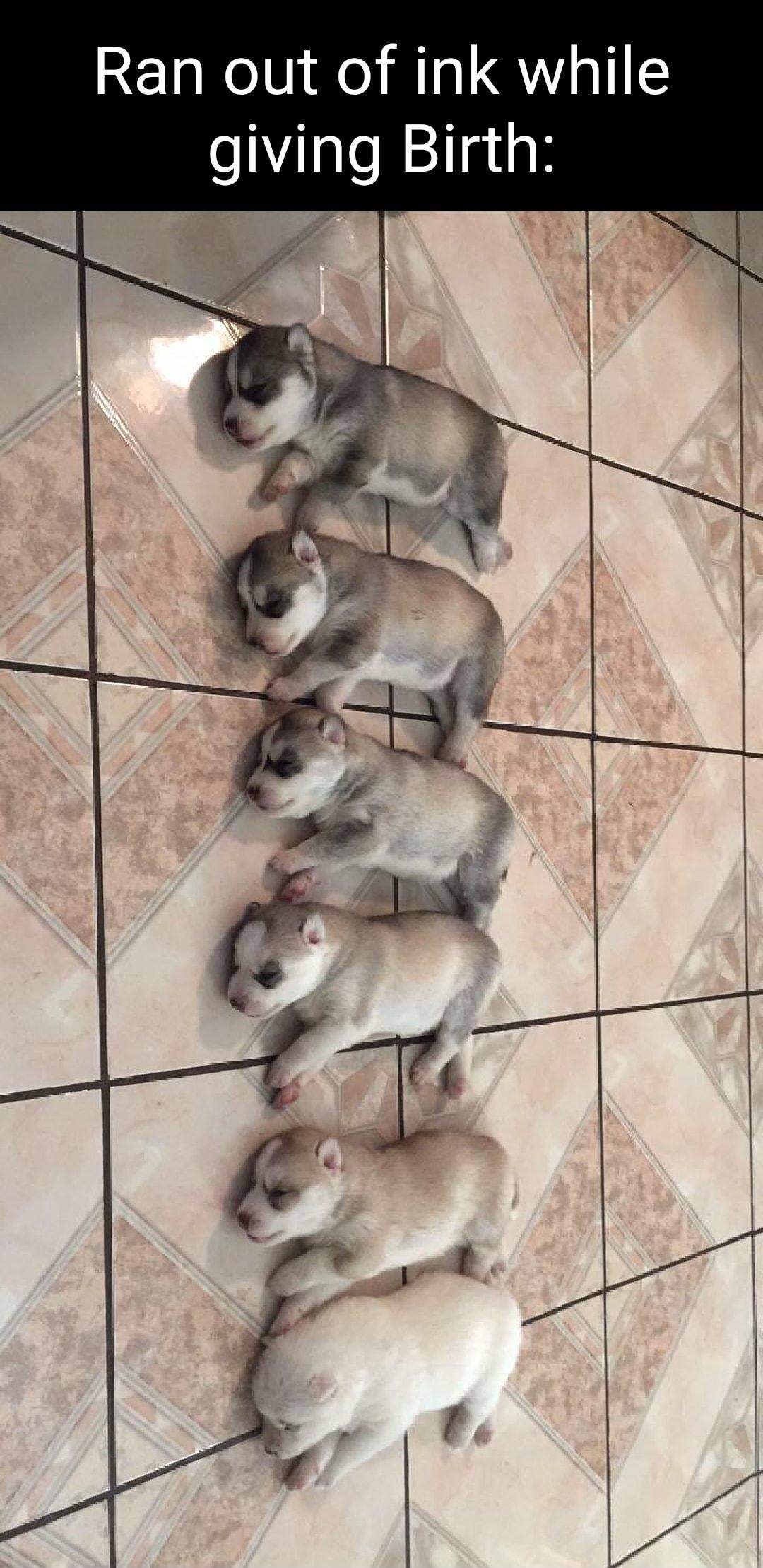 Ran out of ink while giving Birth