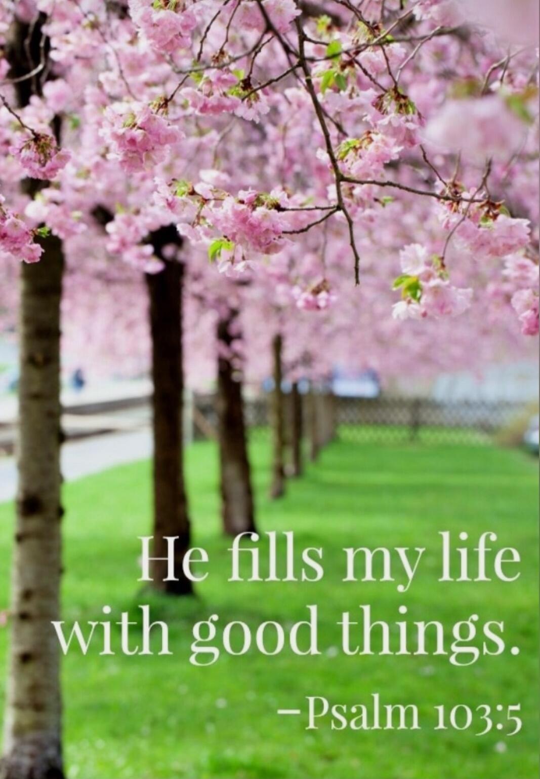 He fills my life with good things. 
- Psalm 103:5