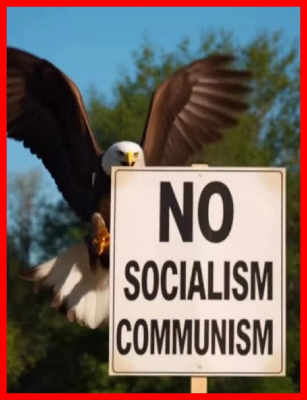 NO SOCIALISM COMMUNISM