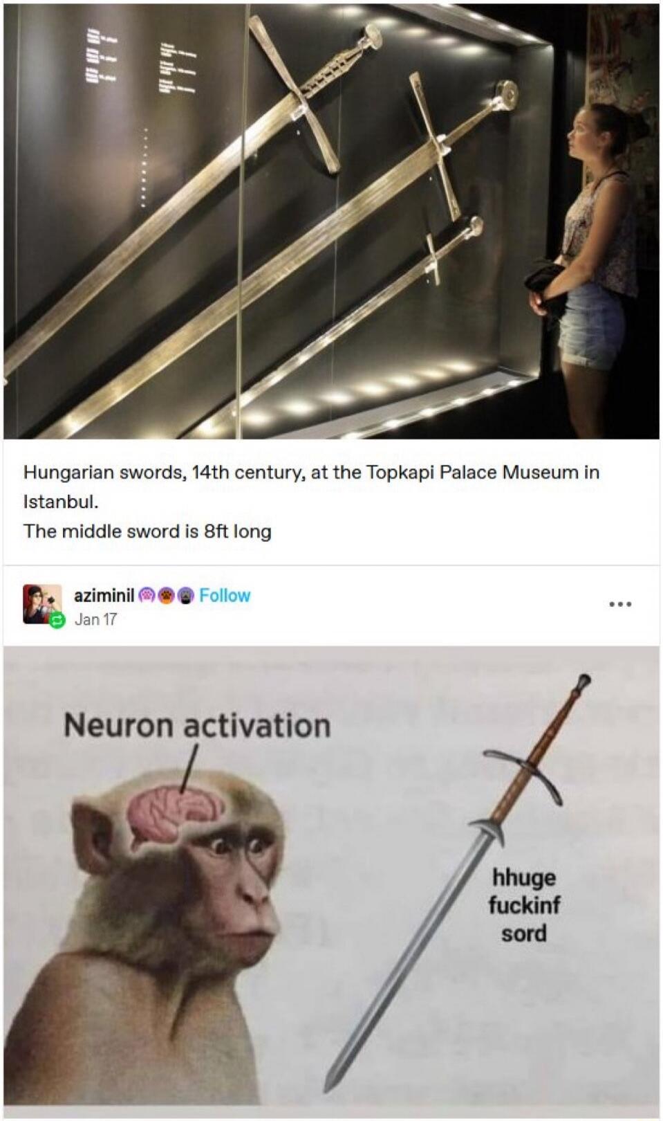 Hungarian swords, 14th century, at the Topkapi Palace Museum in Istanbul. The middle sword is 8ft long

Neuron activation
hhuge fuckin sword