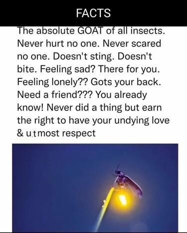 Never hurt no one Never scared no one Doesnt sting Doesnt bite Feeling sad There for you Feeling lonely Gots your back Need a friend You already know Never did a thing but earn the right to have your undying love utmost respect