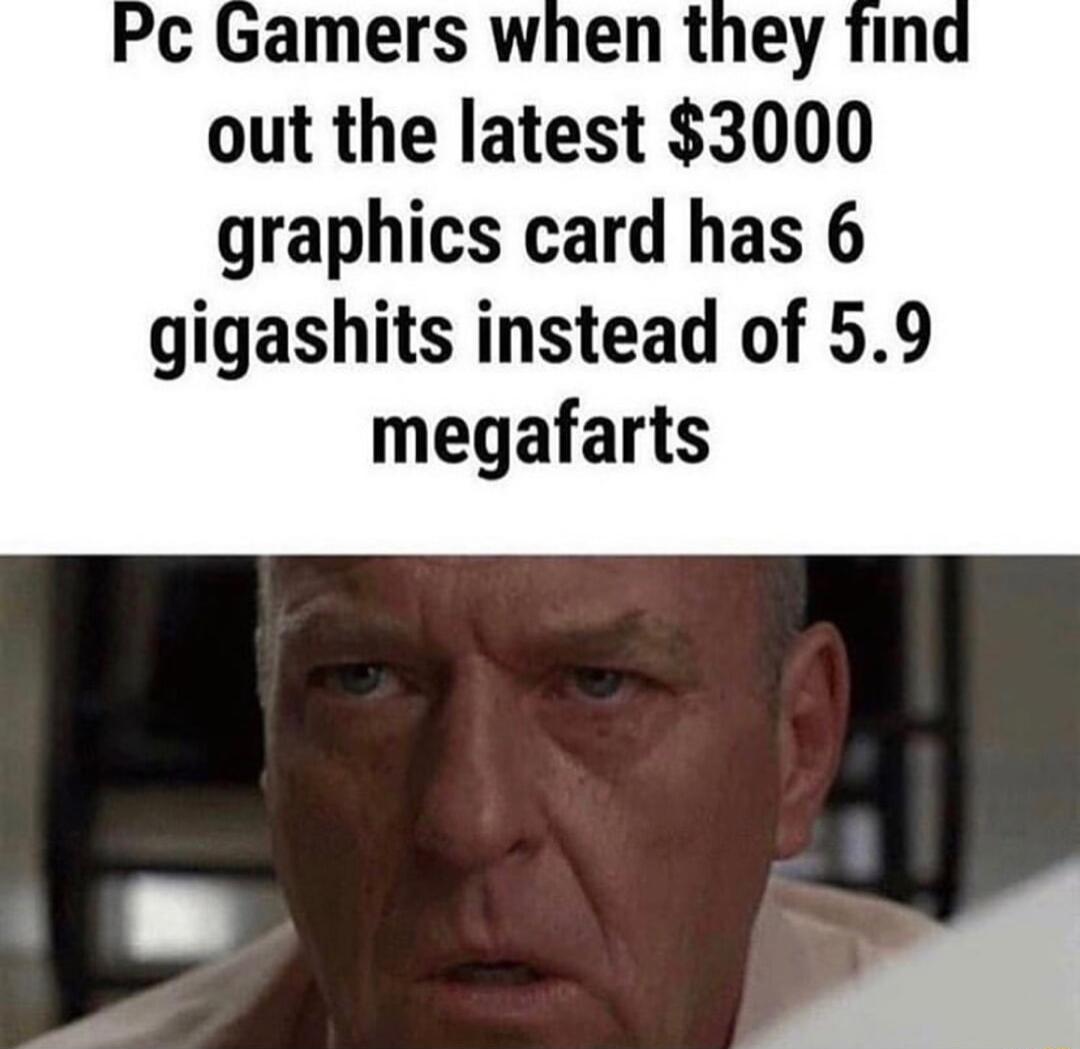 Pc Gamers when they find out the latest 3000 graphics card has 6 gigashits instead of 59 megafarts